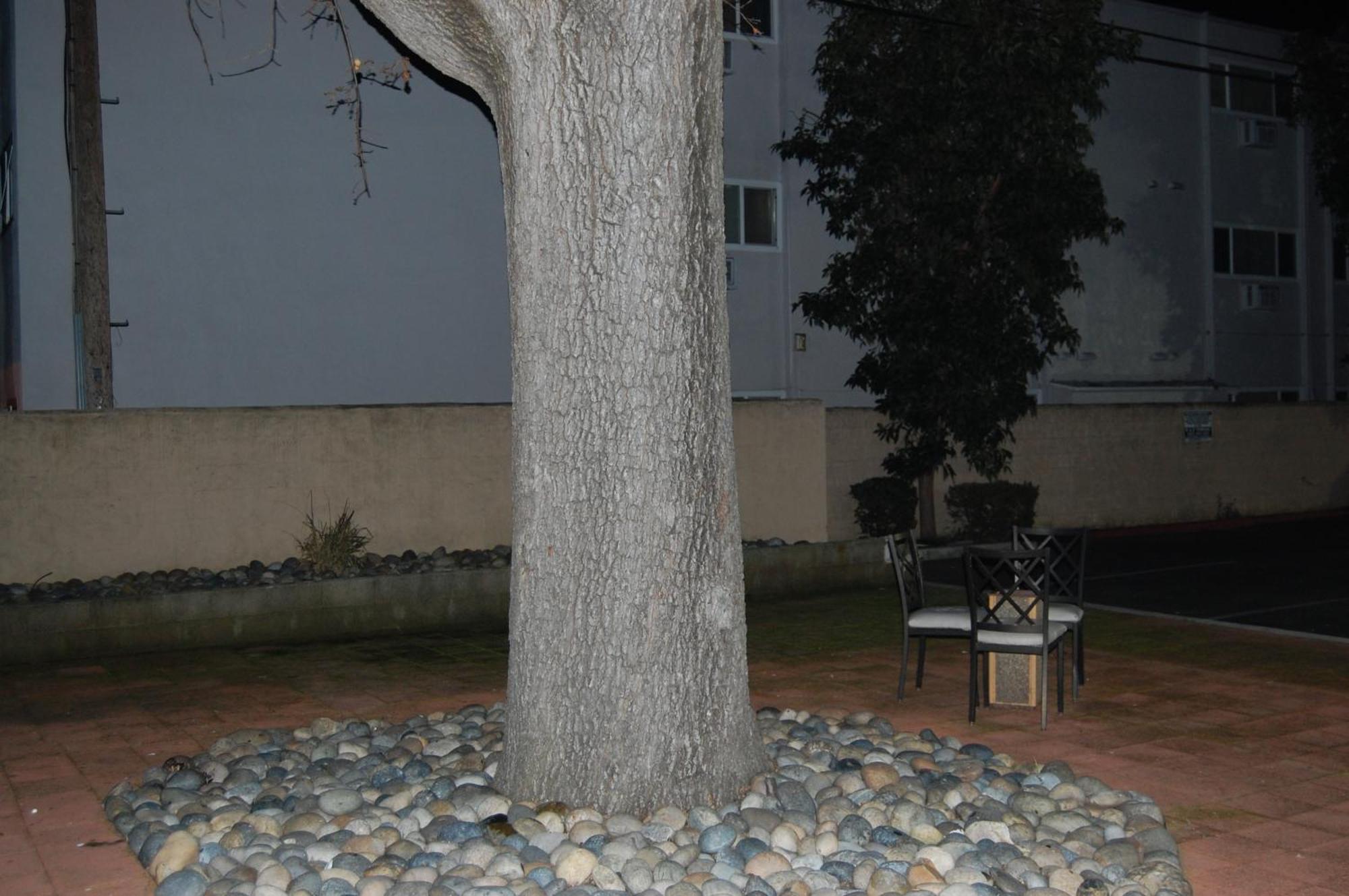 Pleasant Hill Inn エクステリア 写真